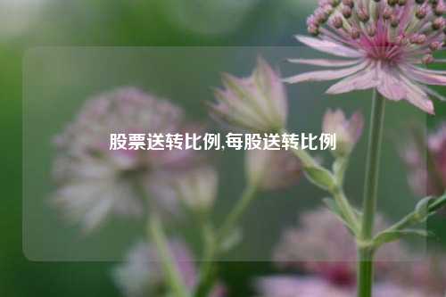 股票送转比例,每股送转比例