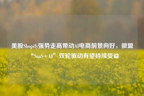 美股Shopify强势走高带动AI电商前景向好，微盟“SaaS+AI”双轮驱动有望持续受益